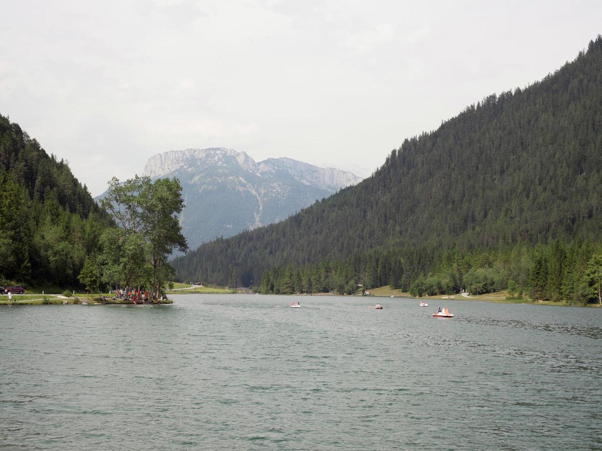 Alluring With Swimming Pool In Tyrol Appartement Waidring